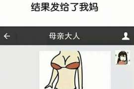 巢湖商务调查